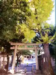 白山神社(東京都)