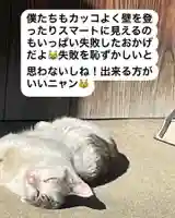 専念寺(大阪府)