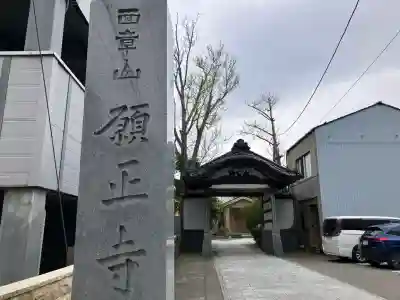 願正寺の{uncategorized: "未分類", other: "その他", undefined: "問題あり", building: "その他建物", grave: "お墓", sacred_gate: "鳥居", guardian: "狛犬", statue: "像", buddha: "仏像", history: "歴史", nature: "自然", garden: "庭園", animal: "動物", pagoda: "塔", temizu: "手水舎", mountain_gate: "山門・神門", sanctuary: "本殿・本堂", subordinate: "末社・摂社", art: "芸術", scenery: "景色", jizo: "地蔵", ema: "絵馬", goshuin: "御朱印", omikuji: "おみくじ", items: "授与品その他", amulet: "お守り", goshuincho: "御朱印帳", eats: "食事", festival: "お祭り", votive_dance: "神楽", shichigosan: "七五三参", wedding: "結婚式", experience: "体験その他", initially: "初詣", around: "周辺", anti_infection: "感染症対策"}