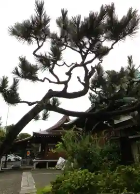 本郷氷川神社(東京都)
