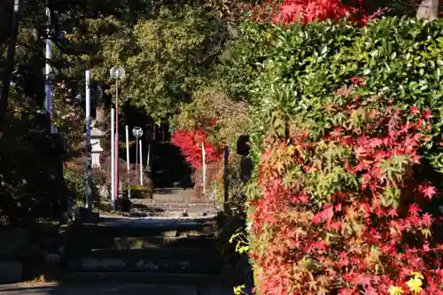 豊景神社の庭園