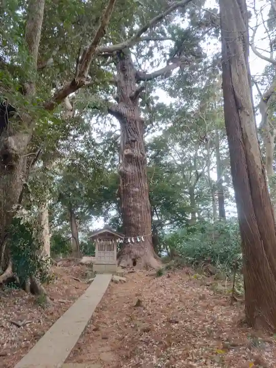 日吉神社(千葉県)
