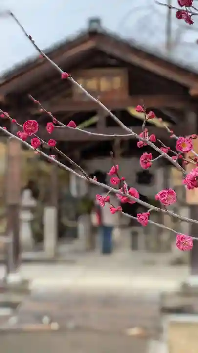 仁和寺(京都府)
