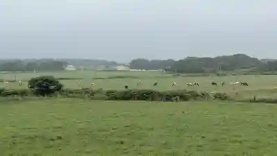 北更岸神社の景色