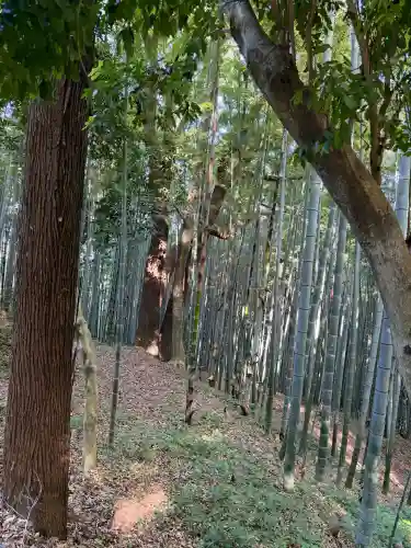 石清水八幡宮の{uncategorized: "未分類", other: "その他", undefined: "問題あり", building: "その他建物", grave: "お墓", sacred_gate: "鳥居", guardian: "狛犬", statue: "像", buddha: "仏像", history: "歴史", nature: "自然", garden: "庭園", animal: "動物", pagoda: "塔", temizu: "手水舎", mountain_gate: "山門・神門", sanctuary: "本殿・本堂", subordinate: "末社・摂社", art: "芸術", scenery: "景色", jizo: "地蔵", ema: "絵馬", goshuin: "御朱印", omikuji: "おみくじ", items: "授与品その他", amulet: "お守り", goshuincho: "御朱印帳", eats: "食事", festival: "お祭り", votive_dance: "神楽", shichigosan: "七五三参", wedding: "結婚式", experience: "体験その他", initially: "初詣", around: "周辺", anti_infection: "感染症対策"}