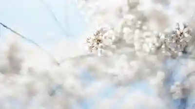 足羽神社(福井県)