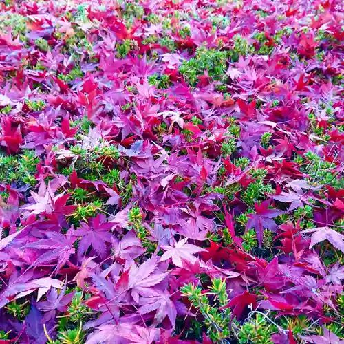 寿量山　速成寺の庭園