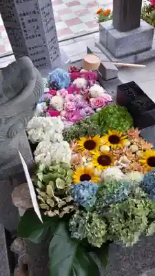 新川皇大神社の手水舎