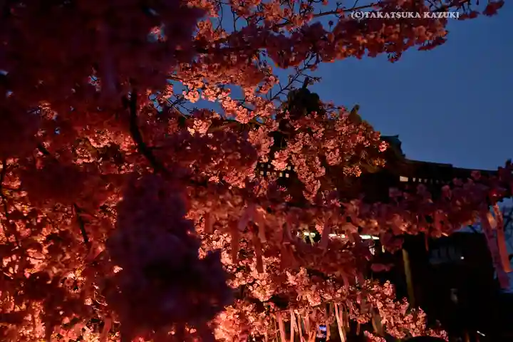 桜神宮(東京都)