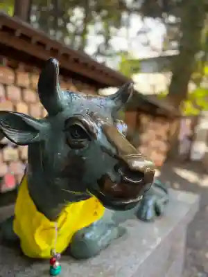 岩槻久伊豆神社(埼玉県)
