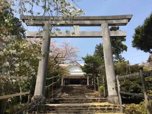 金刀比羅宮鳥羽分社の鳥居