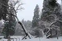 磐椅神社の自然