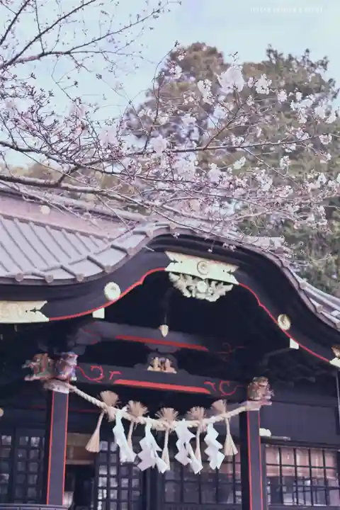 玉前神社の本殿・本堂