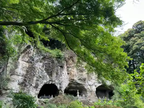 報国寺(神奈川県)