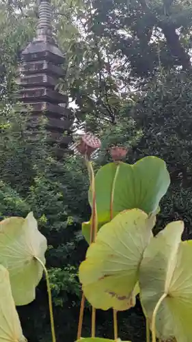 後白河院御聖蹟　法住寺(京都府)