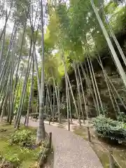 明月院(神奈川県)