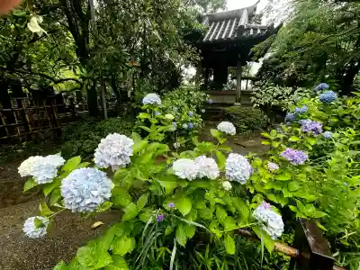 資福寺の{uncategorized: "未分類", other: "その他", undefined: "問題あり", building: "その他建物", grave: "お墓", sacred_gate: "鳥居", guardian: "狛犬", statue: "像", buddha: "仏像", history: "歴史", nature: "自然", garden: "庭園", animal: "動物", pagoda: "塔", temizu: "手水舎", mountain_gate: "山門・神門", sanctuary: "本殿・本堂", subordinate: "末社・摂社", art: "芸術", scenery: "景色", jizo: "地蔵", ema: "絵馬", goshuin: "御朱印", omikuji: "おみくじ", items: "授与品その他", amulet: "お守り", goshuincho: "御朱印帳", eats: "食事", festival: "お祭り", votive_dance: "神楽", shichigosan: "七五三参", wedding: "結婚式", experience: "体験その他", initially: "初詣", around: "周辺", anti_infection: "感染症対策"}