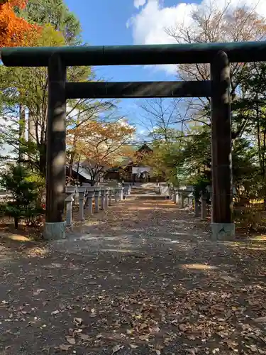 信濃神社の鳥居