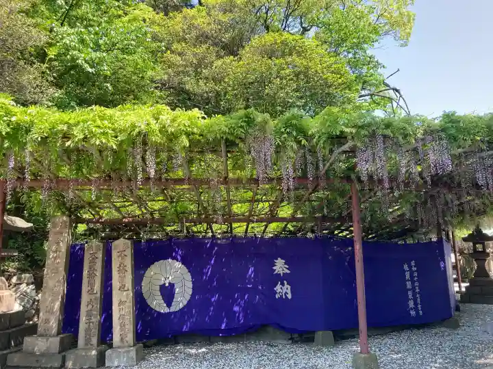 早吸日女神社(大分県)