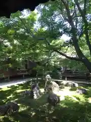 建仁寺（建仁禅寺）の庭園