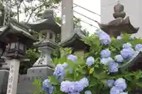 寳山寺(奈良県)