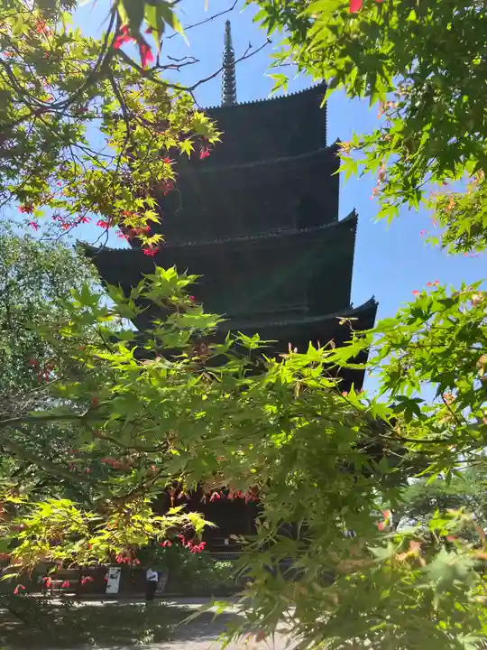 東寺(教王護国寺)の塔