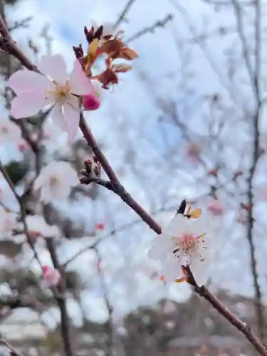 寛永寺不忍池弁天堂(東京都)