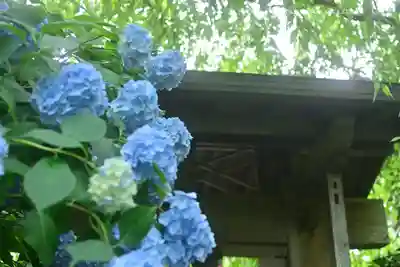 明月院(神奈川県)