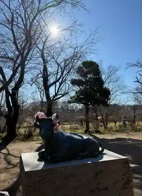 虚空蔵菩薩(茨城県)