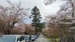 平岡八幡宮の自然