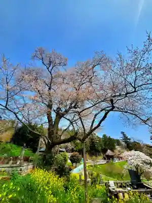 曹洞宗 永松山 龍泉寺(福島県)
