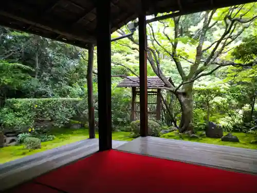 桂春院(京都府)