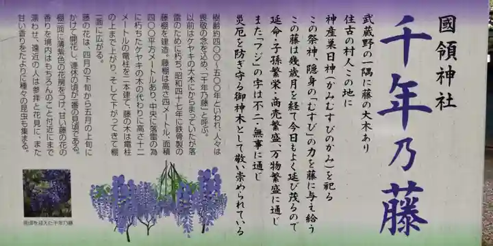 國領神社(東京都)