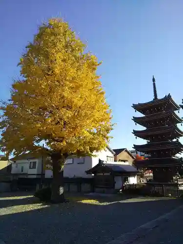 光徳院のその他建物