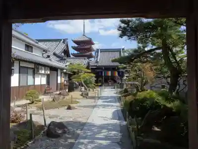 圓通寺の庭園