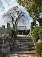 幸延寺(神奈川県)