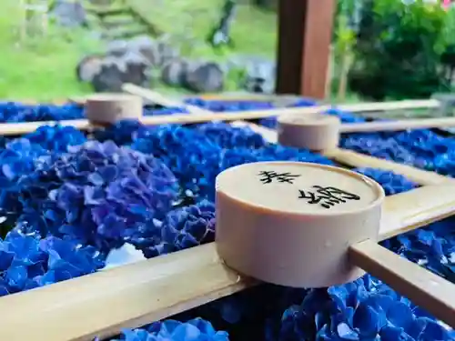 土津神社｜こどもと出世の神さまの手水舎