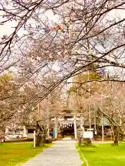 金村別雷神社(茨城県)