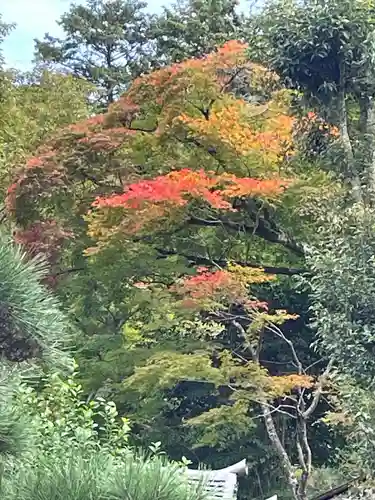 鏑射寺(兵庫県)