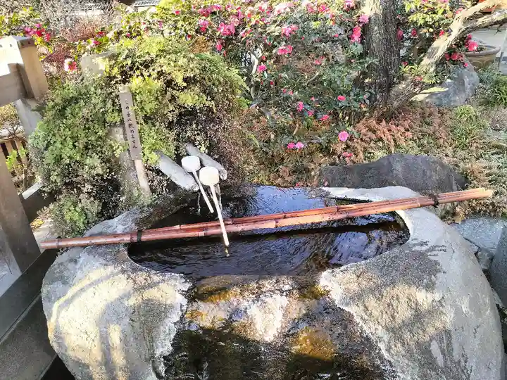 妙蓮寺(神奈川県)