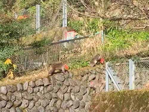 久遠寺(山梨県)