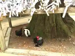 大崎八幡宮の動物