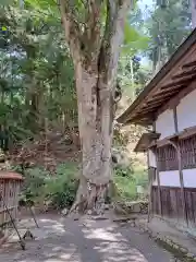 丹生川上神社（下社）(奈良県)