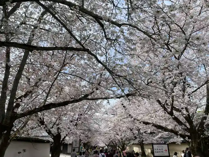 醍醐寺(京都府)