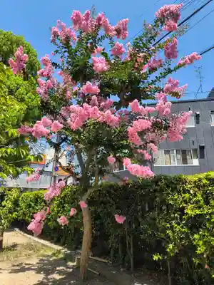 四貫島住吉神社(大阪府)