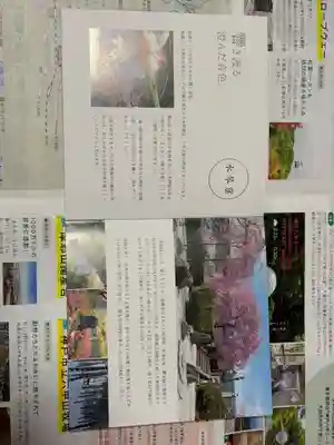 圓光寺(京都府)