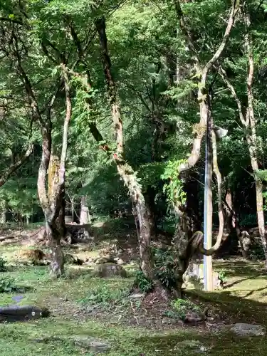 平泉寺白山神社(福井県)
