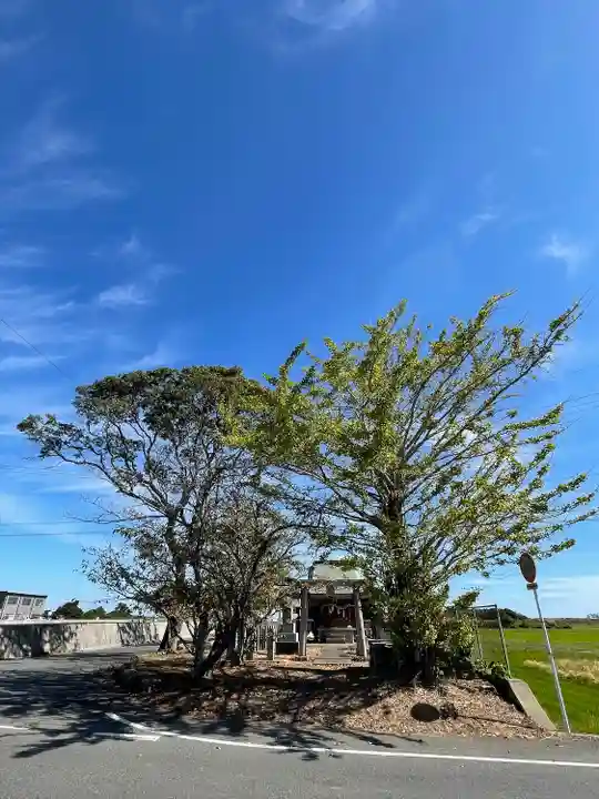 蛭子神社の自然