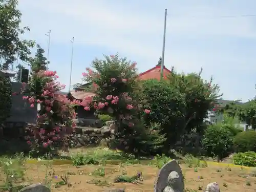 多宝寺(埼玉県)