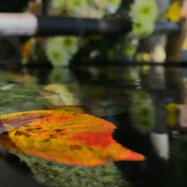 高司神社〜むすびの神の鎮まる社〜の授与品その他